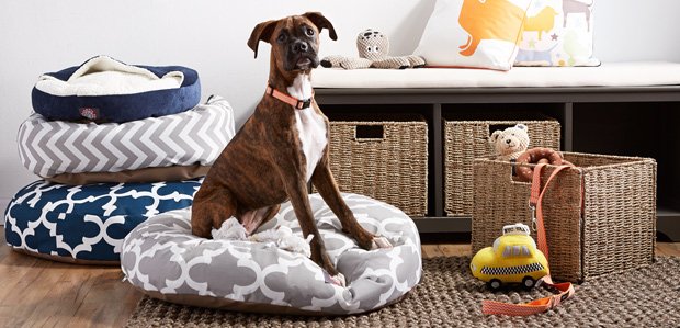 The Pet Shop: Tail-Wagging Beds to Collars