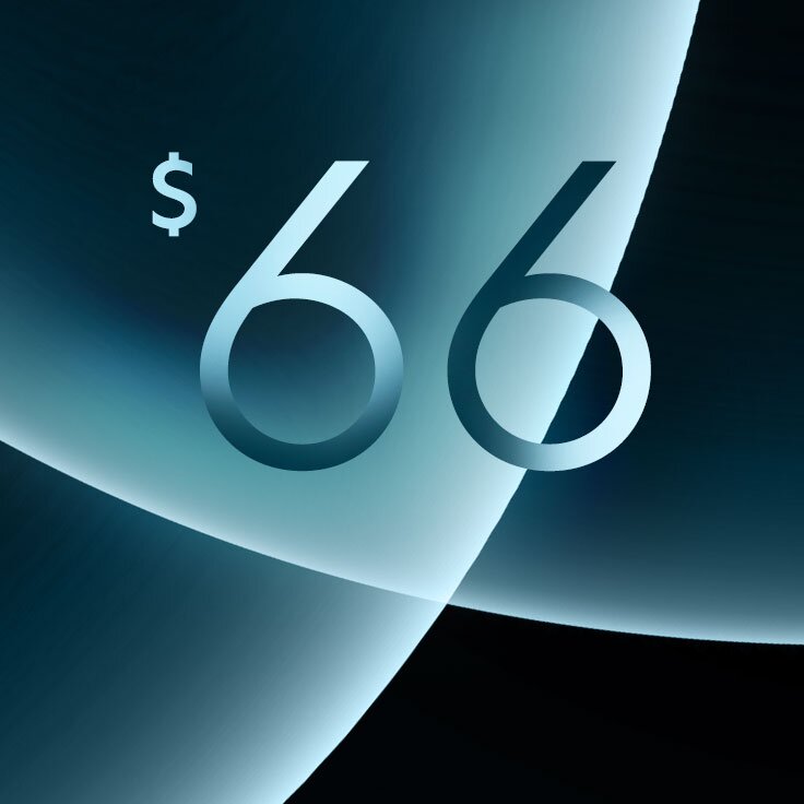 $66: 48 Hours Only