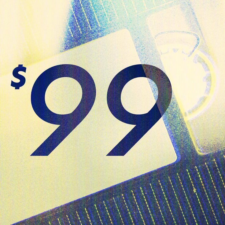 $99: 48 Hours Only