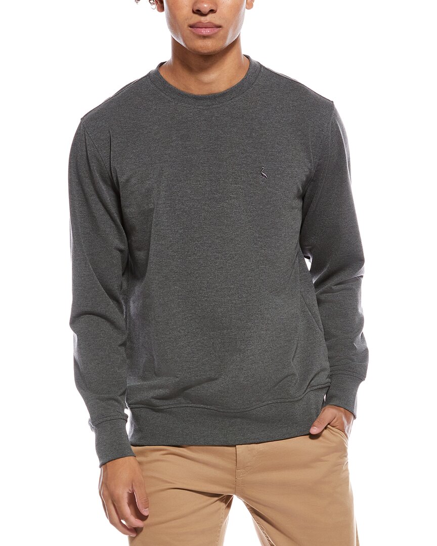 Tailorbyrd Fleece Crewneck Sweatshirt In Gray