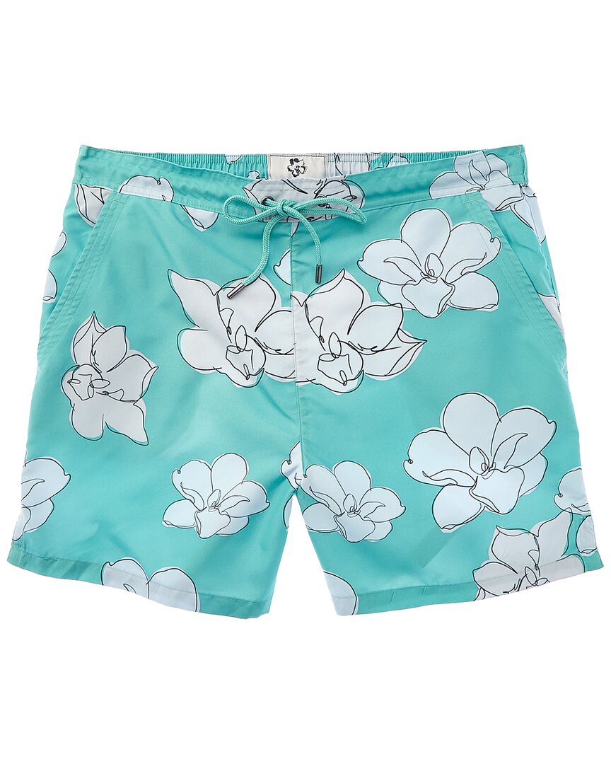 Shop Ted Baker Ampbell Large Scale Floral Swim Short In Green