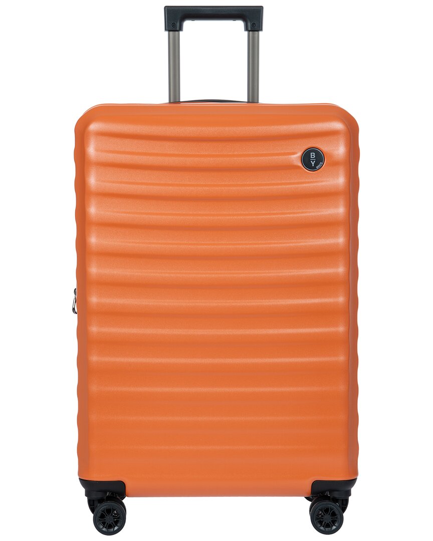 Bric's Nausicaa 30in Expandable Spinner