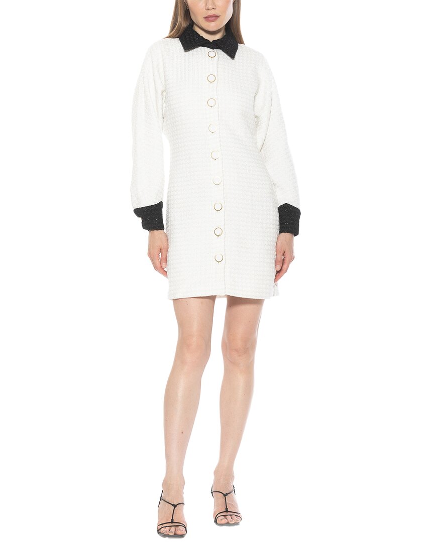 Alexia Admor Velvette Long Sleeve Mini Tweed Shirtdress