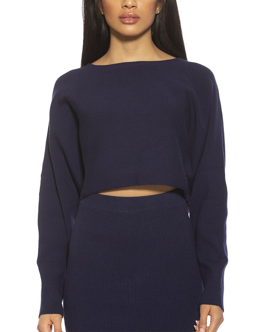Alexia Admor Ribbed Knit Dolman Sleeve Top