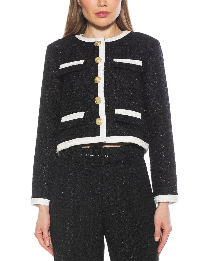 Alexia Admor Molly Dress