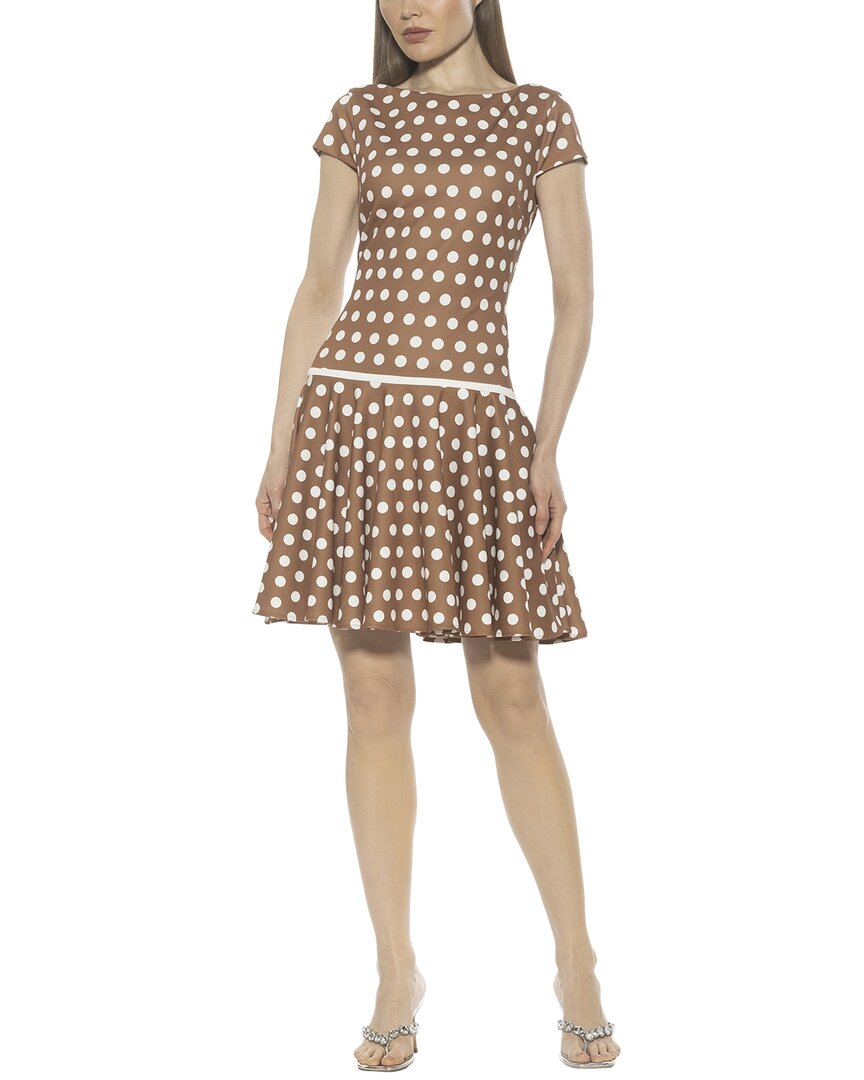 Alexia Admor Drop Waist Dress