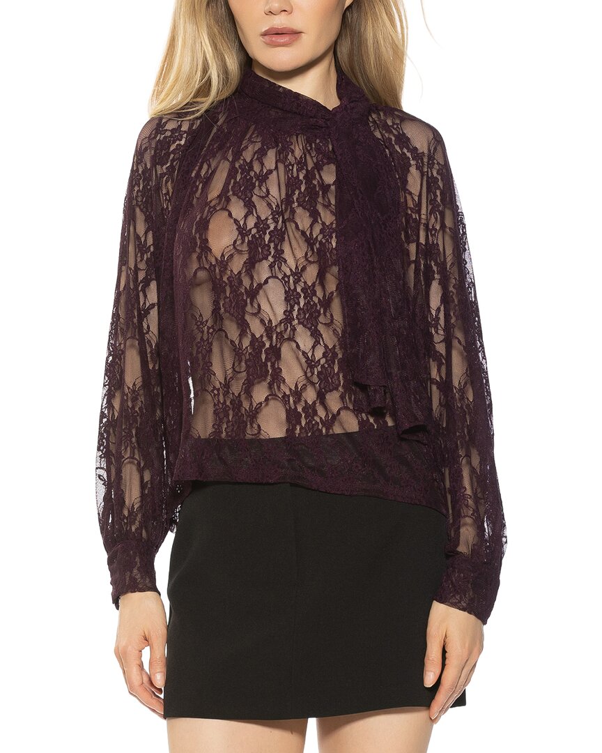 Alexia Admor Rae Top In 606-burgundy