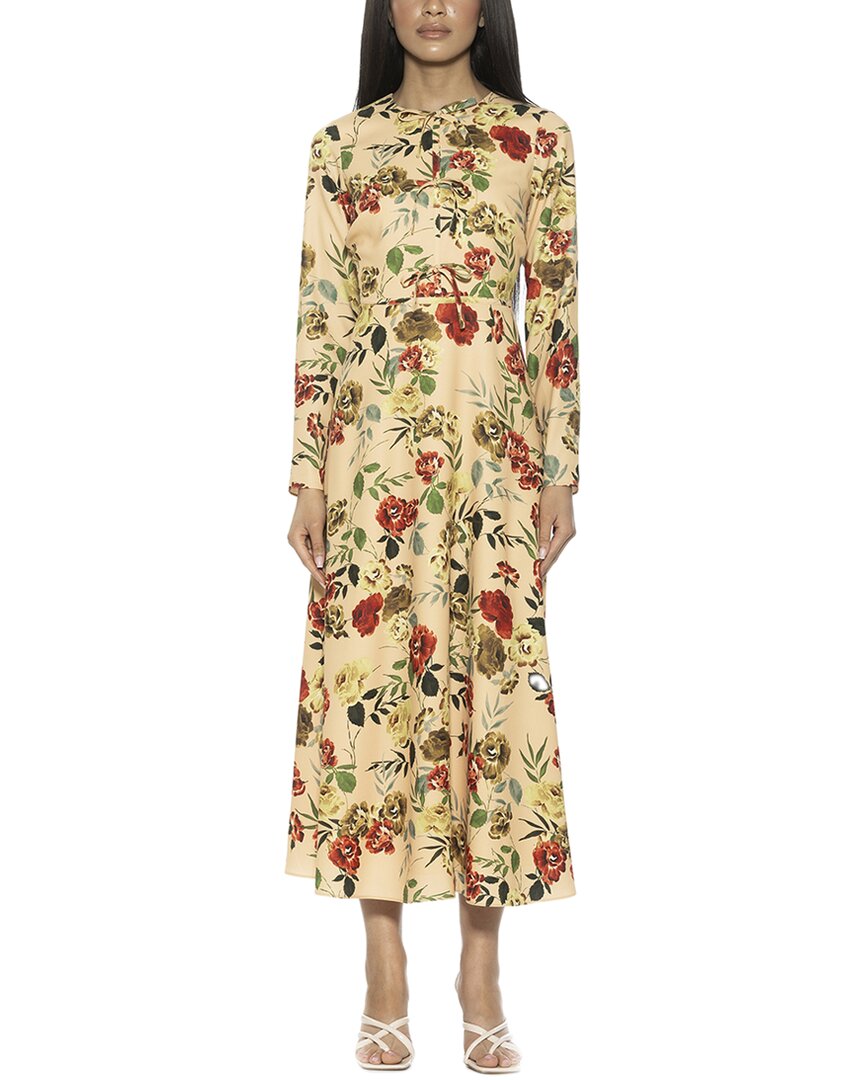 Alexia Admor Ophelia A-line Dress In Multi