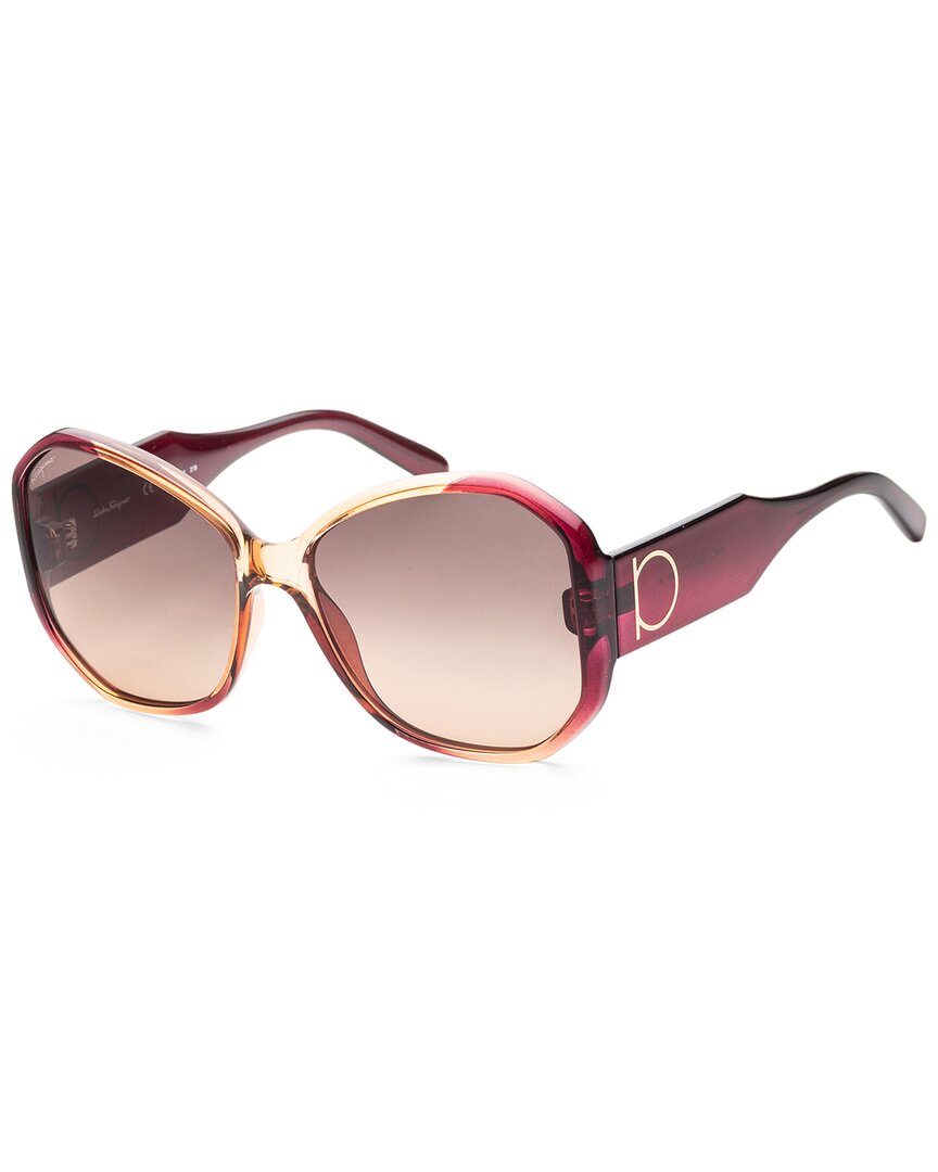 Ferragamo Women's Sf943s-6018212 Fashion 60mm Wine Caramel Sunglasses In Red