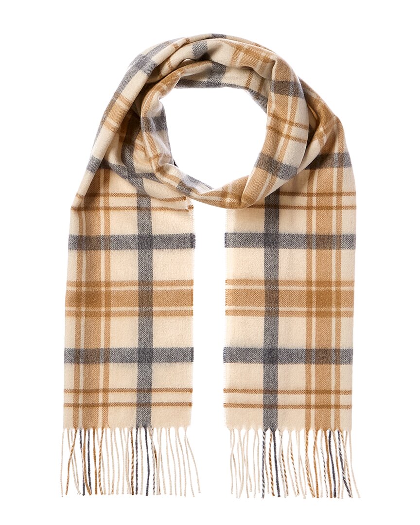 Amicale Cashmere Scottish Plaid Cashmere Scarf In Brown