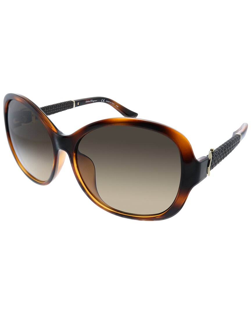 Shop Ferragamo Women's Sf744sla 59mm Sunglasses In Brown