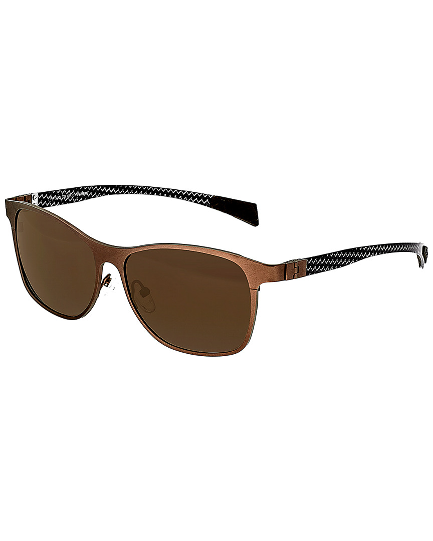 Breed Templar Titanium Sunglasses In Brown