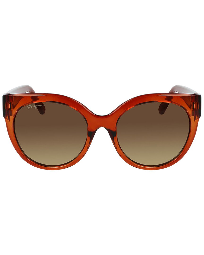Ferragamo Women's Fashion 53mm Sunglasses In Brown