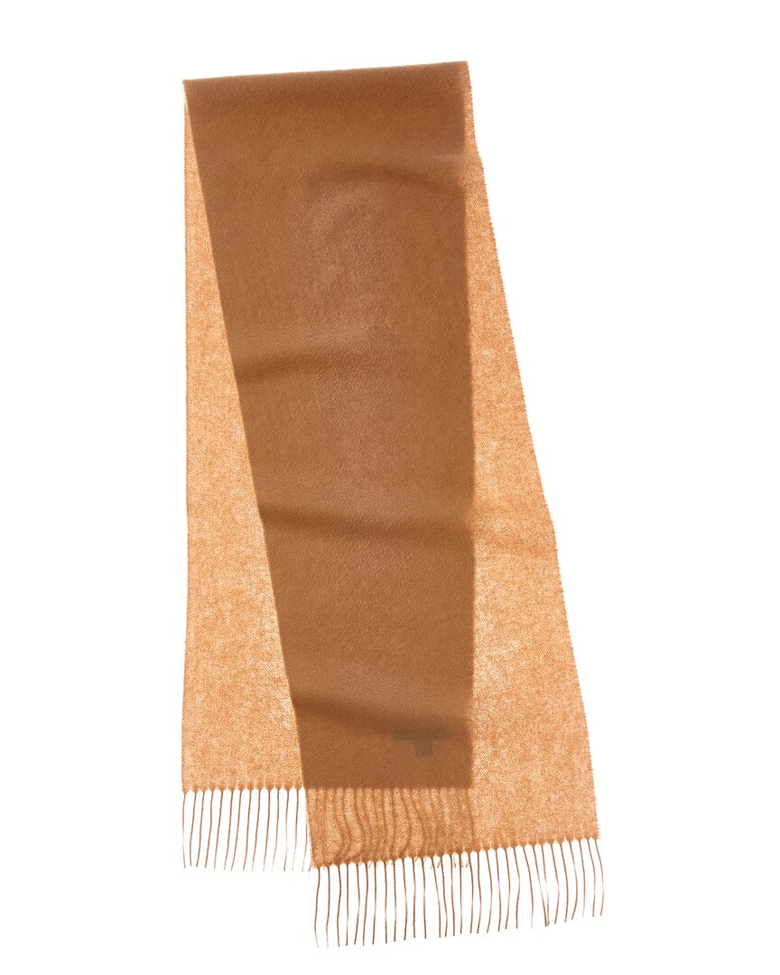 Amicale Cashmere Solid Cashmere Scarf In Brown