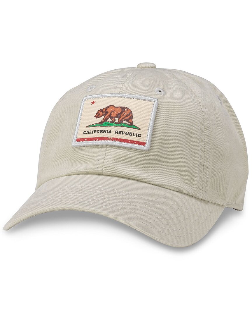 Shop American Needle Ballpark Hat In Grey