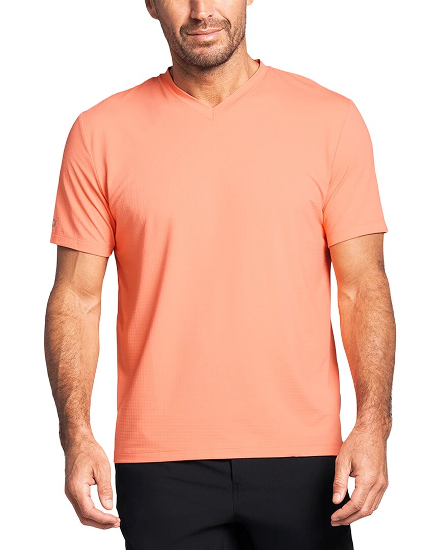 Ibkul T-shirt In Multi