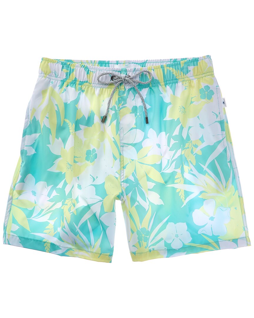 Vintage Summer 4-way Stretch Volley Swim Trunk In Green