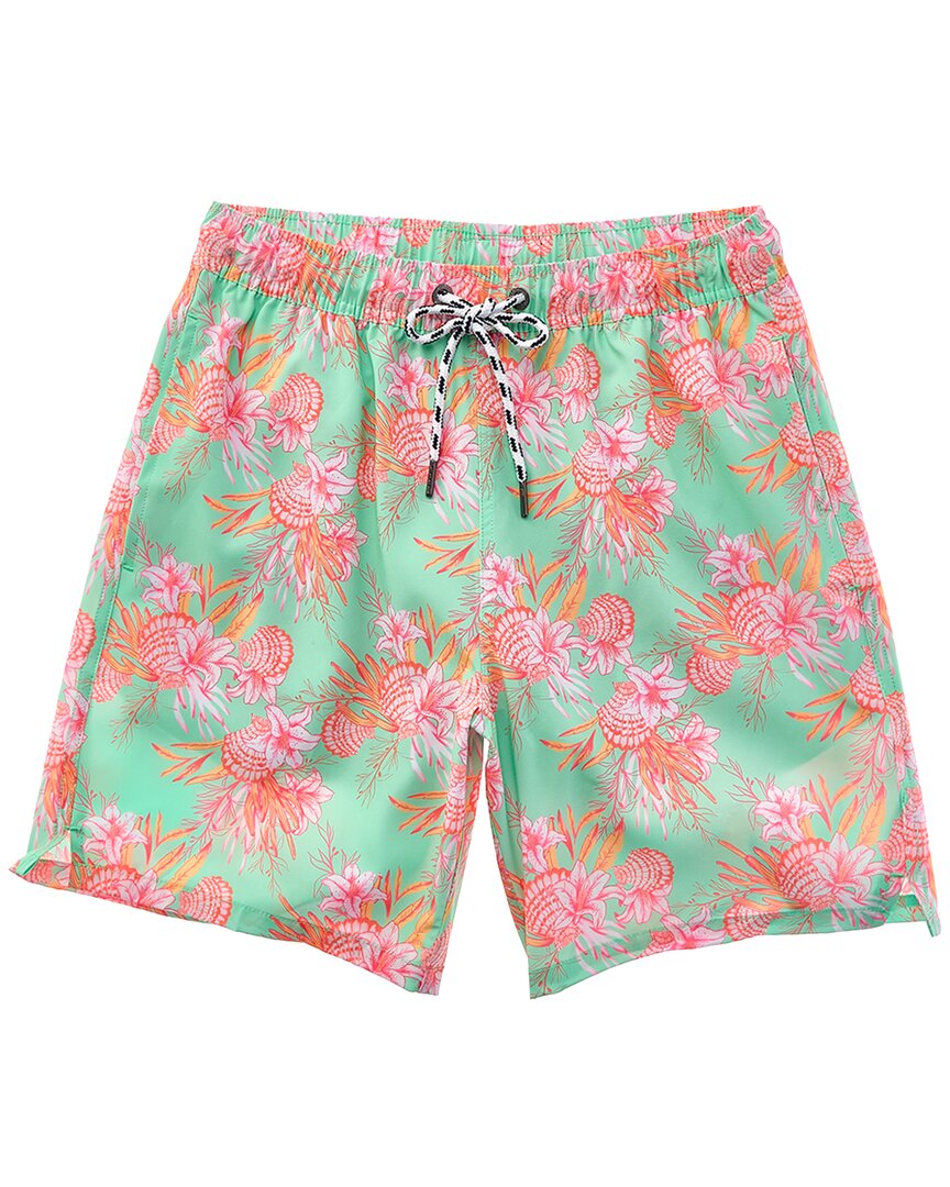 Snapper Rock Coastal Shells Sustainable Swim Short In Green