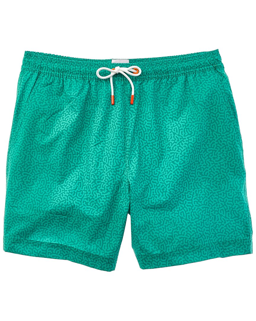 Swims Breeze Swim Short In Green