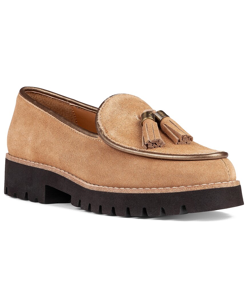 Shop Donald Pliner Eclipse Suede Loafer