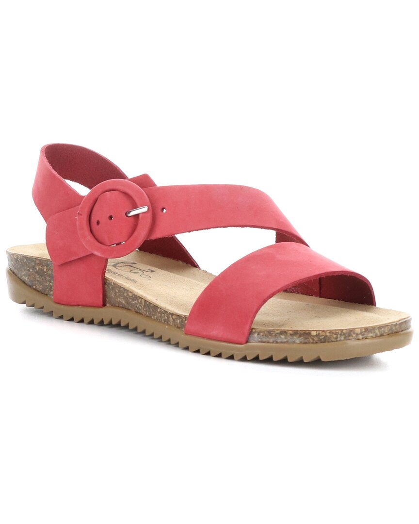 Bos. & Co. Lavis Asymmetric Slingback Sandal