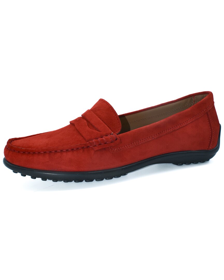 The Flexx Winter Loafer Suede Loafer In Burgundy