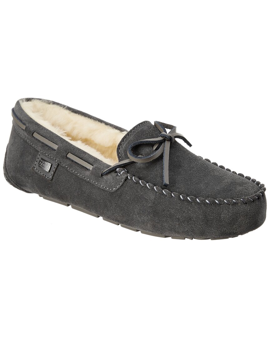 Australia Luxe Collective Prost Suede Slipper In Gray