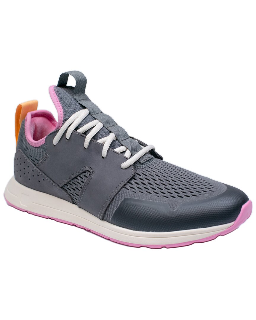 York Athletics The Frank Trainer In Gray