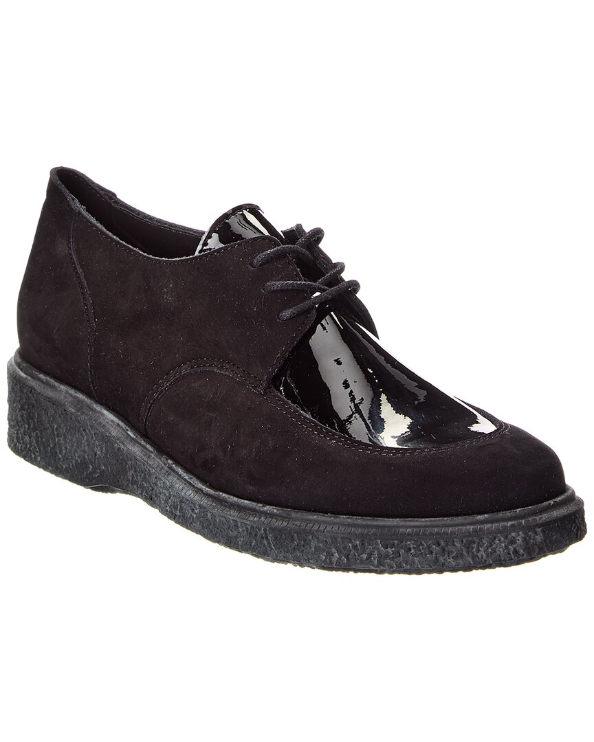 Arche Johiro Suede & Patent Sneaker In Black