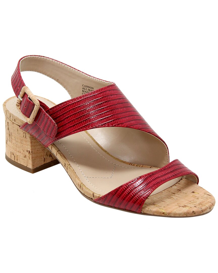 Charles By Charles David Cannon Sandal