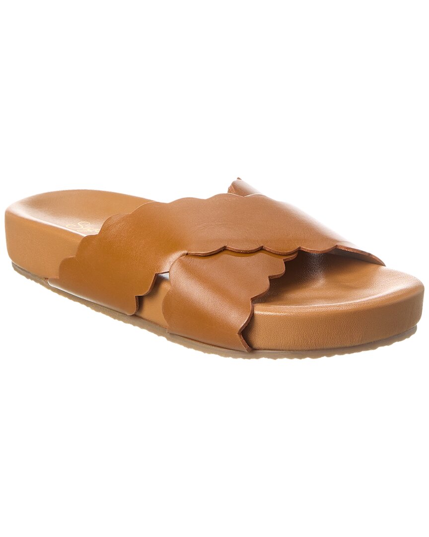 Seychelles Odie Leather Sandal In Brown