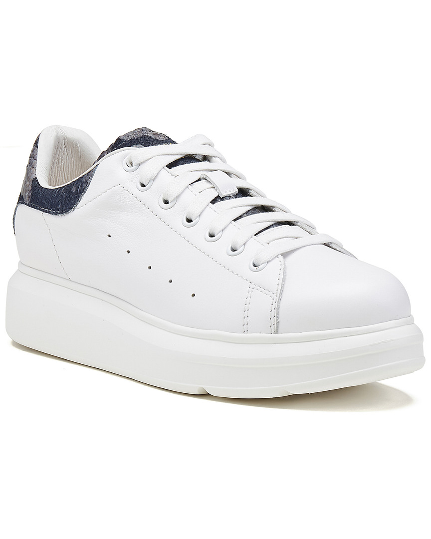 Image of Australia Luxe Collective Leather Sneakers