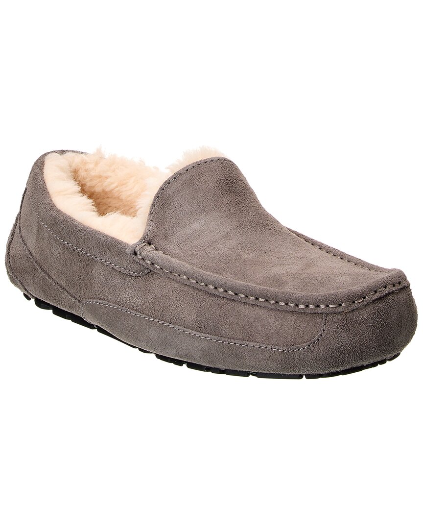 Ugg Ascot Suede Slipper In Grey