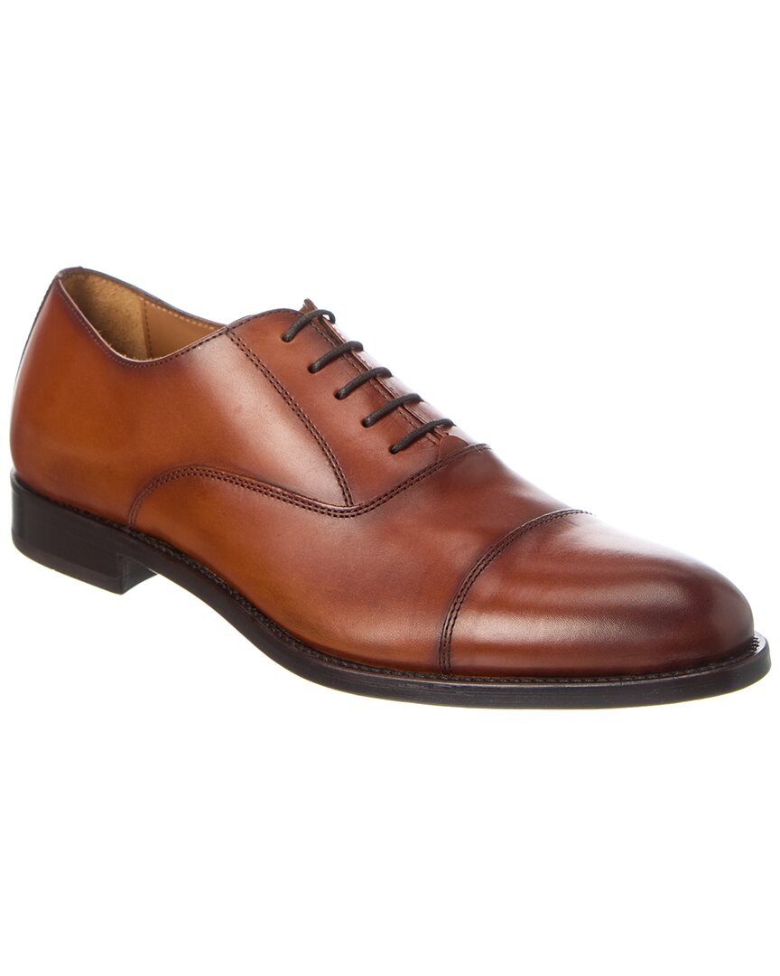 Antonio Maurizi Cap Toe Leather Oxford In Brown