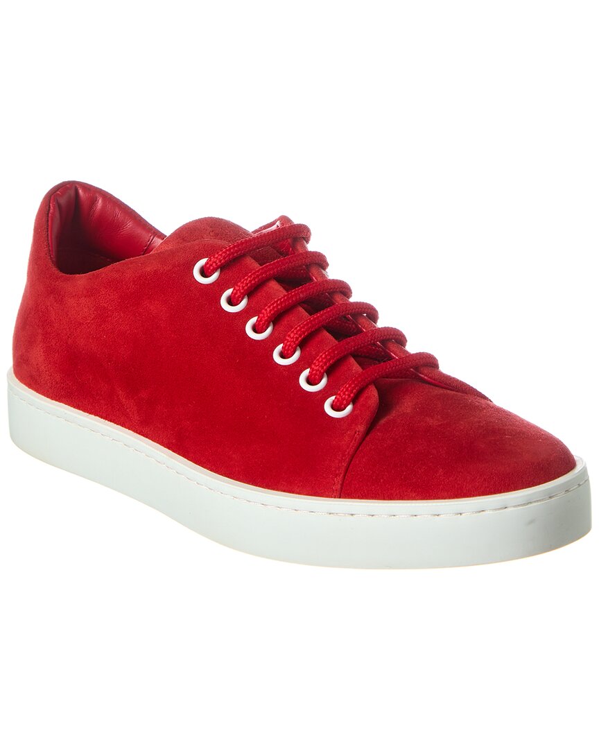 Manolo Blahnik Semanada Suede Sneaker In Red