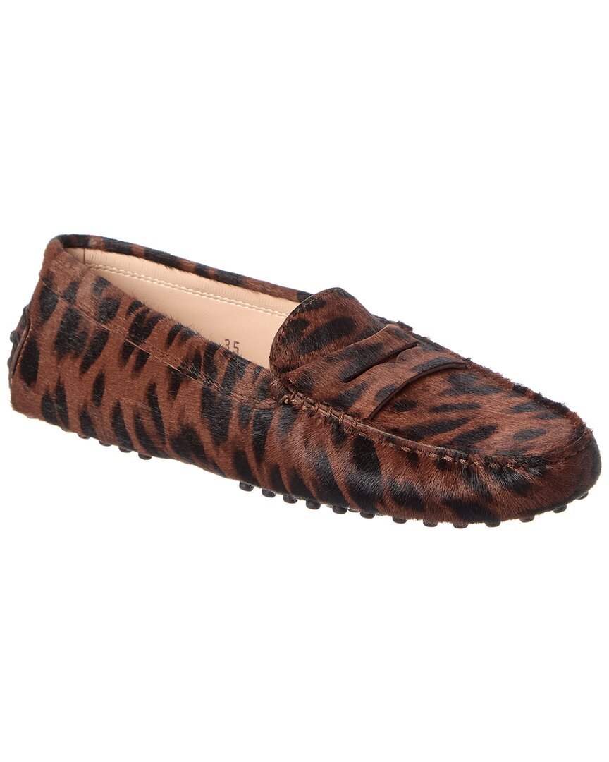 Tod's Gommino Haircalf Loafer In Brown