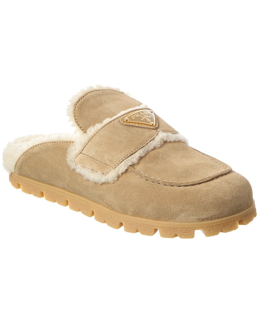 Prada Suede & Shearling Mule In Brown