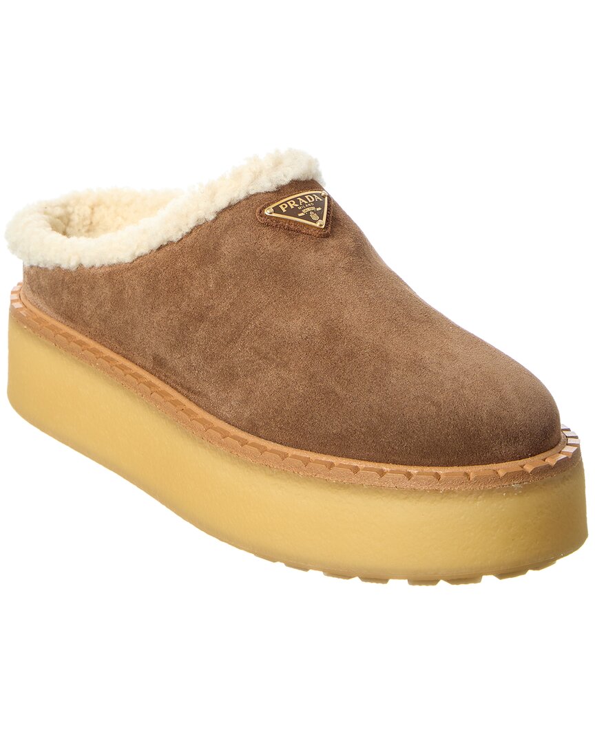 Prada Suede Slipper In Brown