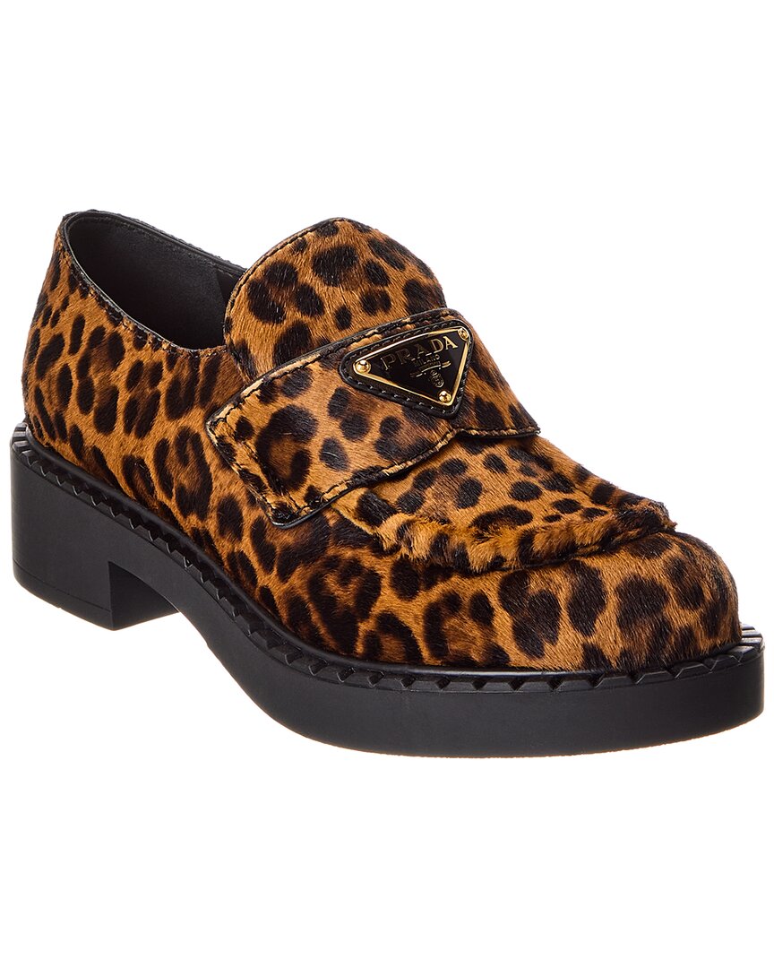 Prada Chocolate Printed Haircalf Loafer In Brown