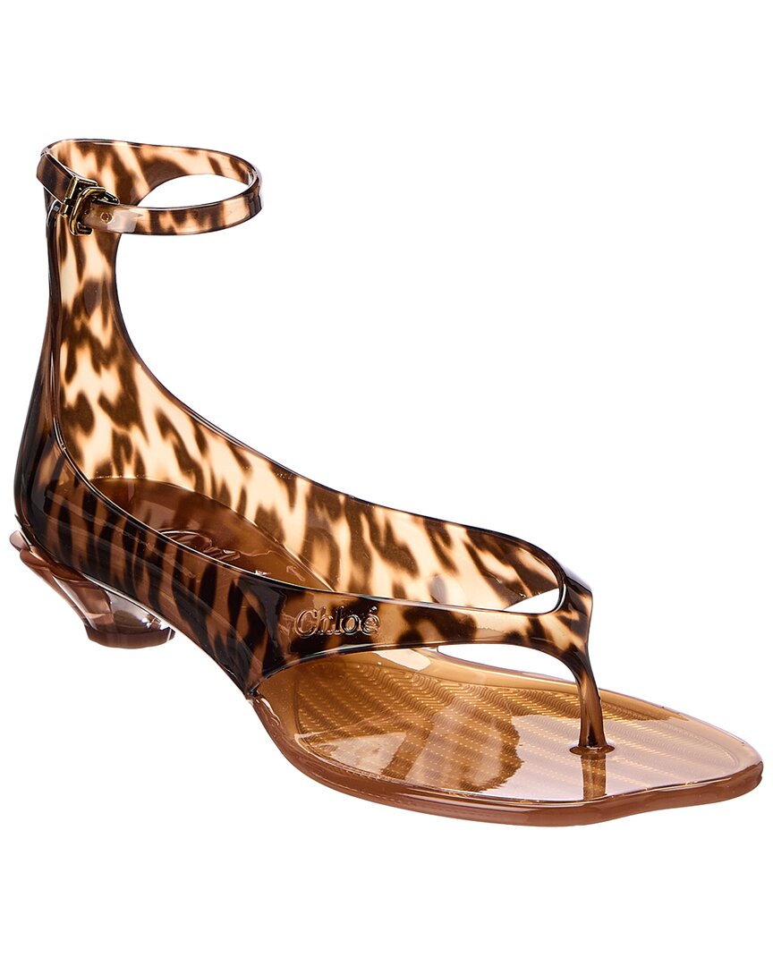 Chloé Rubber Sandal In Brown