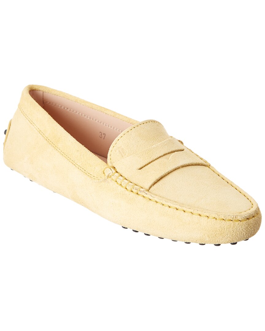 Shop Tod's Gommino Suede Loafer