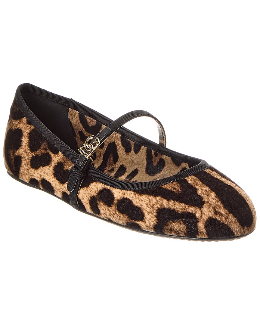 Dolce & Gabbana Multicolor Ballerinas In Cotton And Viscose With Leopard Print Women In Brown