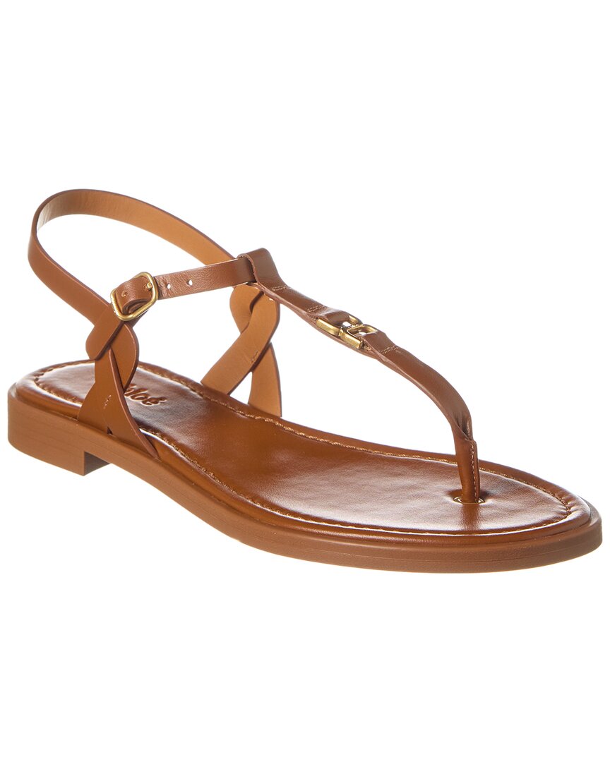 Shop Chloé Marcie Leather Sandal In Brown