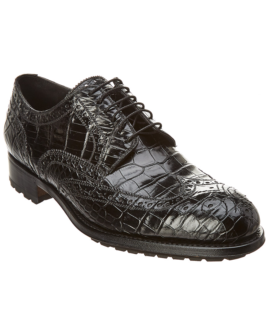Caporicci Alligator Leather Wingtip Oxford In Black