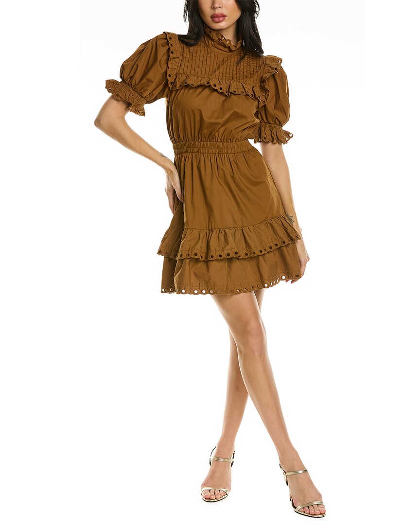 Shop Stellah Eyelet Trim Mini Dress In Brown
