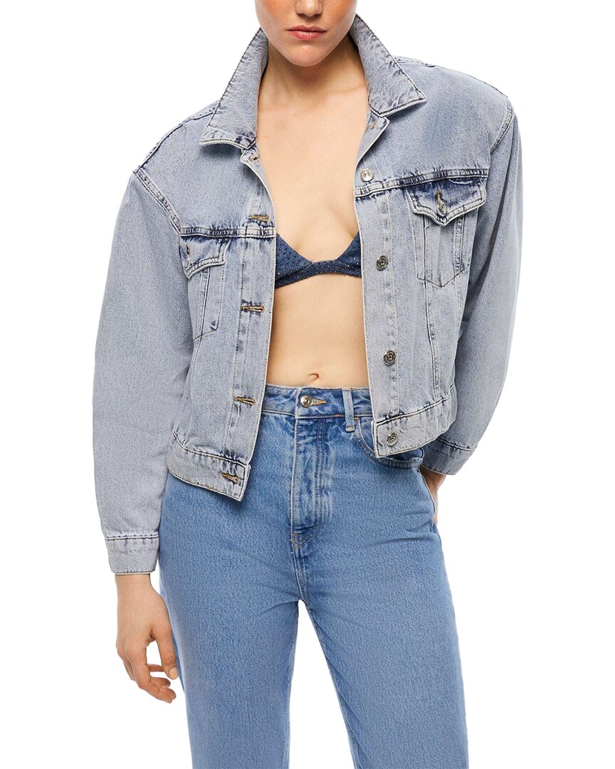 Shop Nocturne Cropped Denim Jacket
