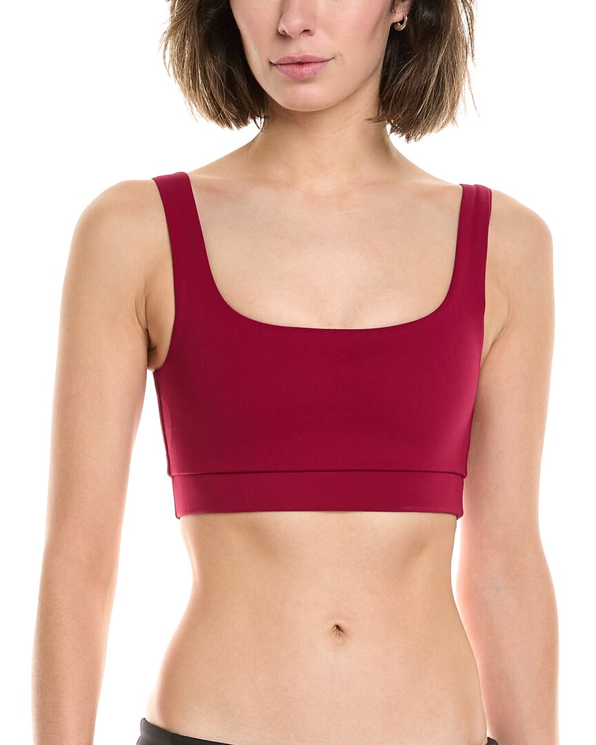 STRUT THIS STRUT THIS JOLIE BRA 