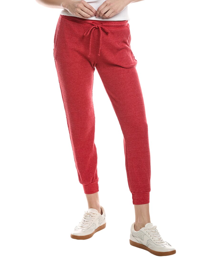 MICHAEL STARS MICHAEL STARS BERKLEY JOGGER PANT