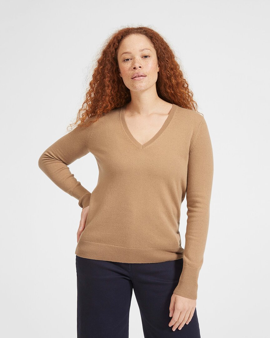Everlane The Cashmere V-neck Sweater In Brown