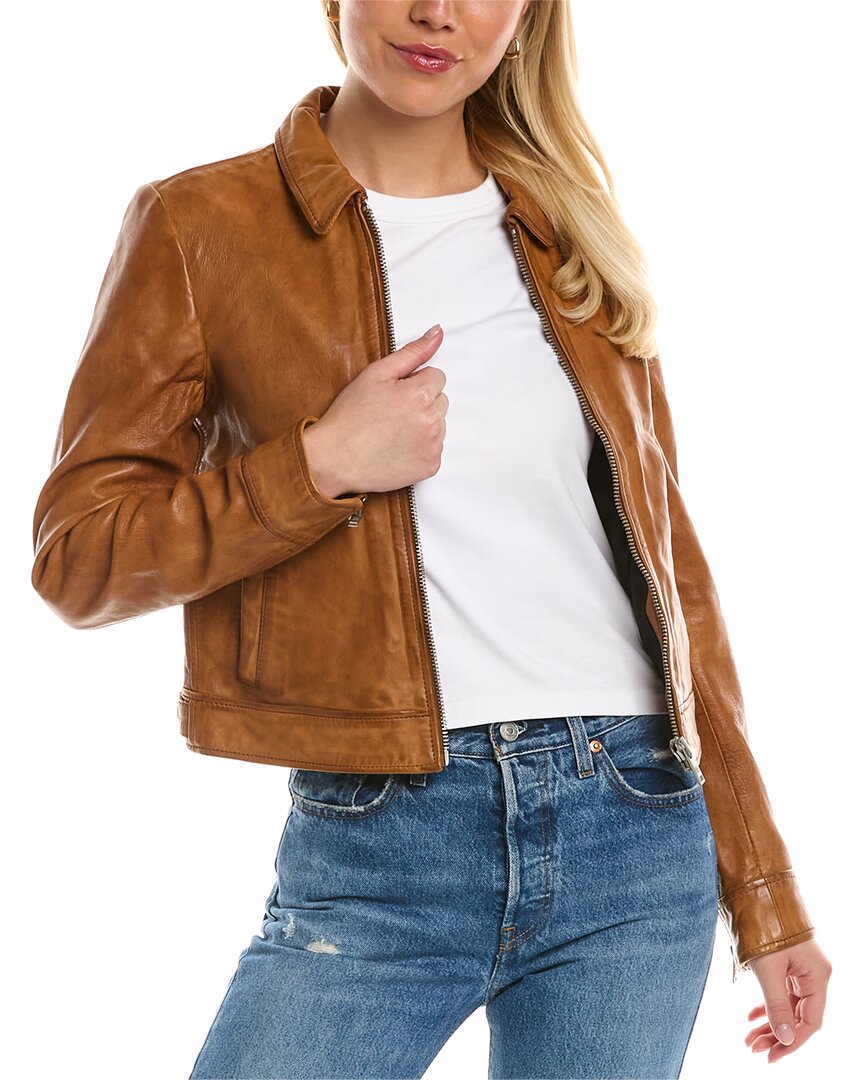 superdry cropped leather harrington jacket